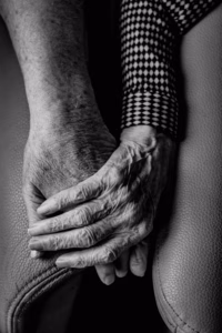 gert stockmans n85taMiq0S4 unsplash copy